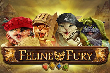 Feline fury 游戏封面