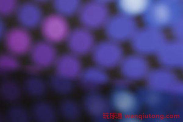 bet365轮盘规则与下注策略