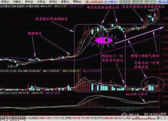 我把荐股群的底裤扒了(图5)